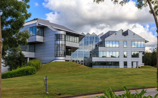 Plant, Grass, Office Building