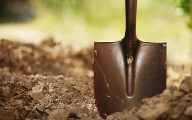 Tool, Shovel