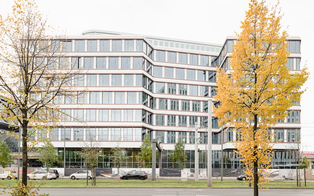 Building, Office Building, Tree