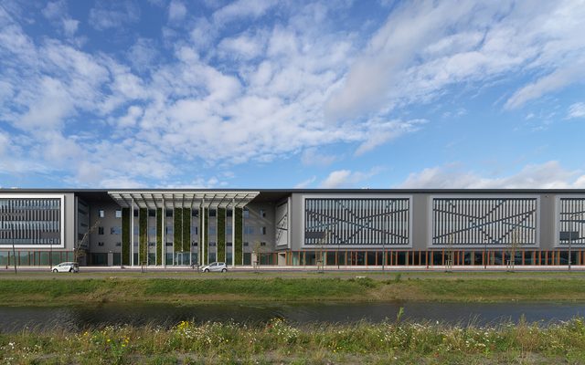 Office Building, Building, Grass