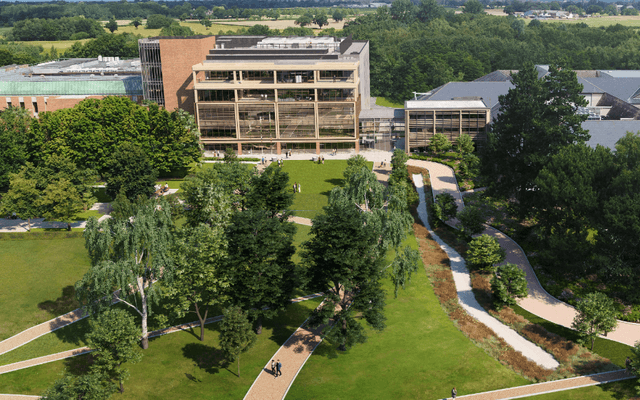 Grass, Plant, Campus