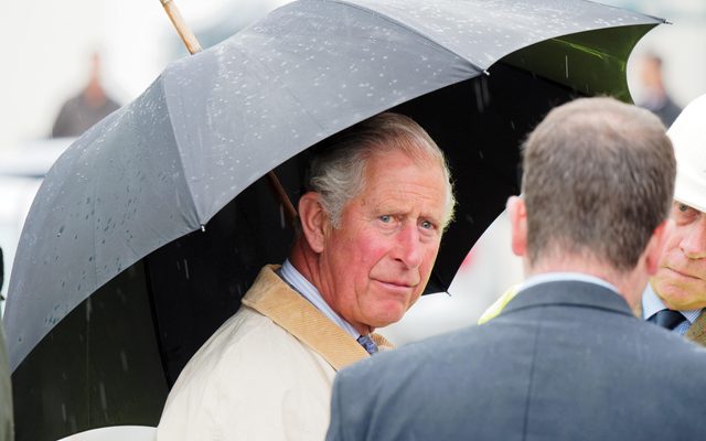 Person, Human, Umbrella