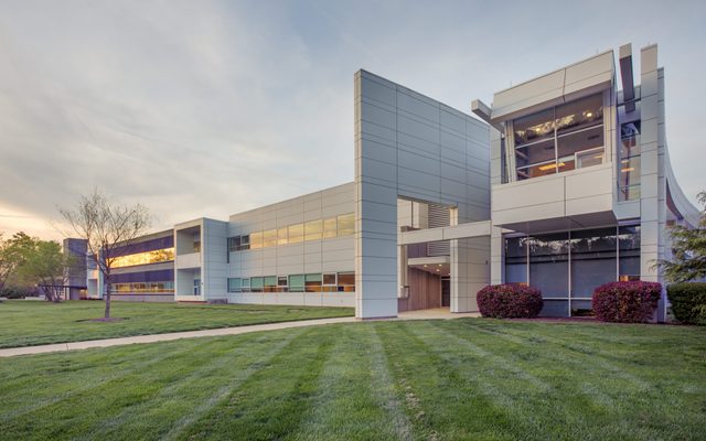 Grass, Plant, Office Building