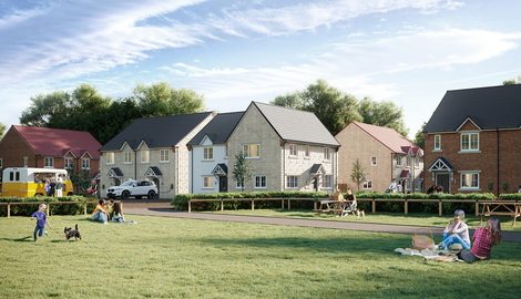 Grass, Plant, Person