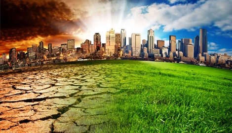 Grass, Plant, City