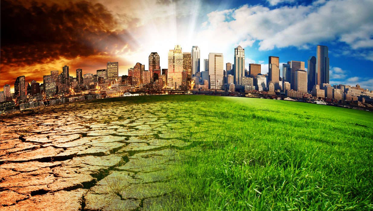 Grass, Plant, City