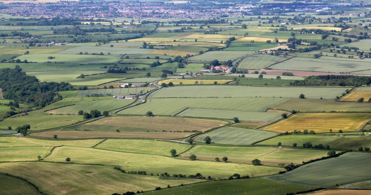 Labour eyes land reform to lower housebuilding costs - Green Street News