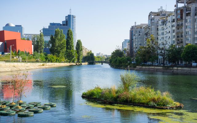 City, Nature, Outdoors