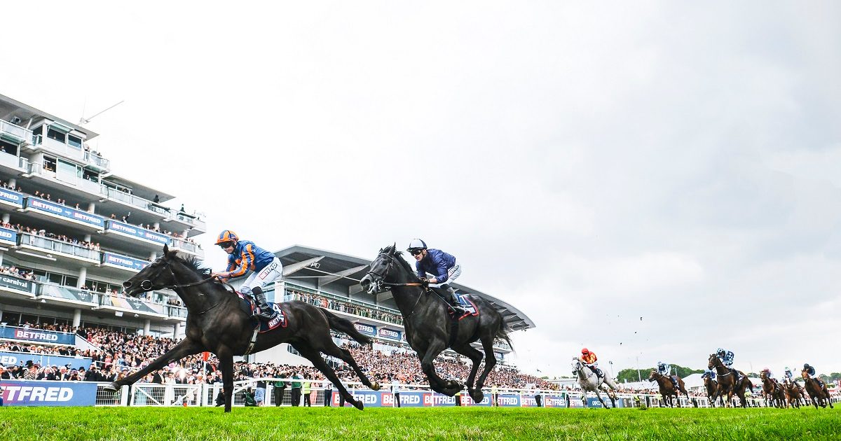 Jockey Club launches surplus land to open storage market Green Street