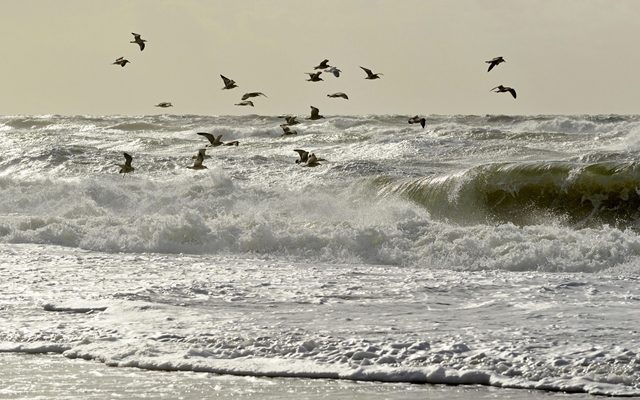 Nature, Outdoors, Sea