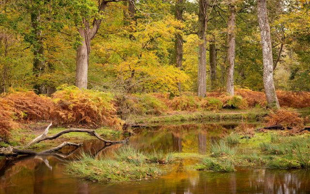 Land, Nature, Outdoors