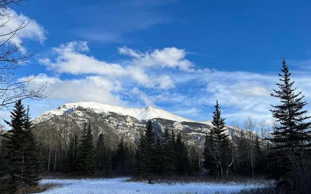 300 and 302 Bow Valley Trail