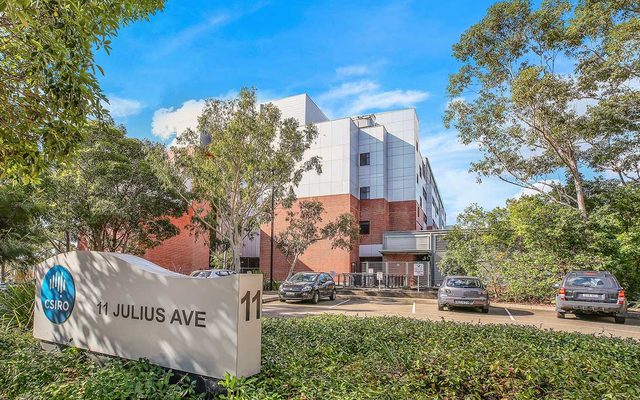 City, Car, Transportation