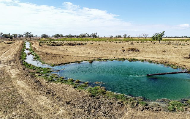 Nature, Outdoors, Pond