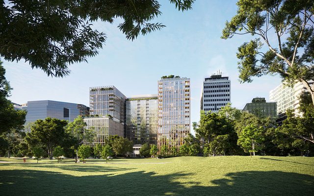 Grass, Plant, City
