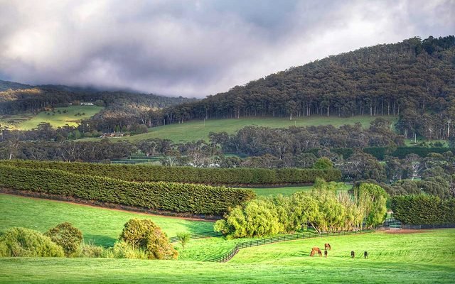Nature, Outdoors, Countryside