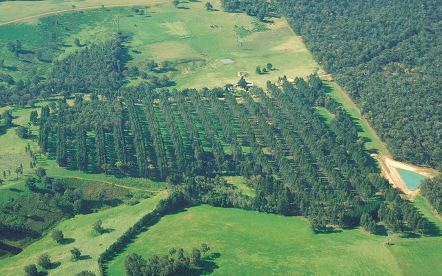 Outdoors, Nature, Countryside