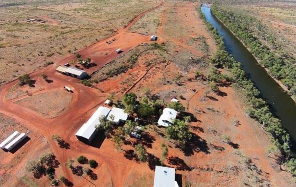 NT cattle station change hands - Green Street News