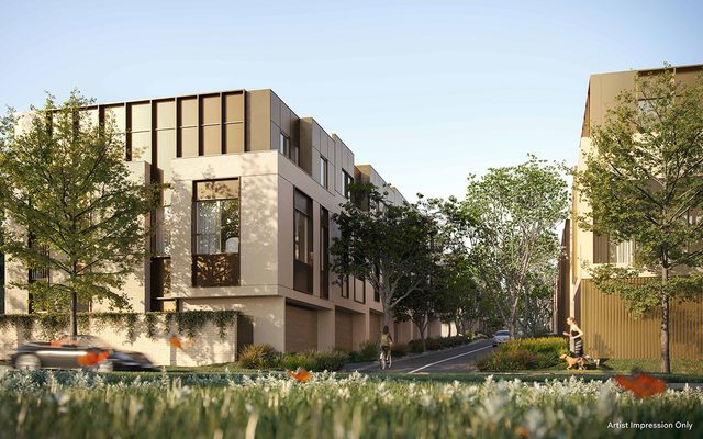 City, Neighborhood, Grass