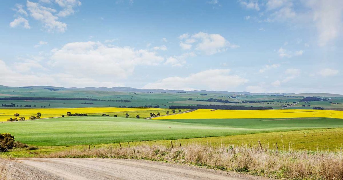 Qatar group sells SA & NSW stations to farming families - Green Street News