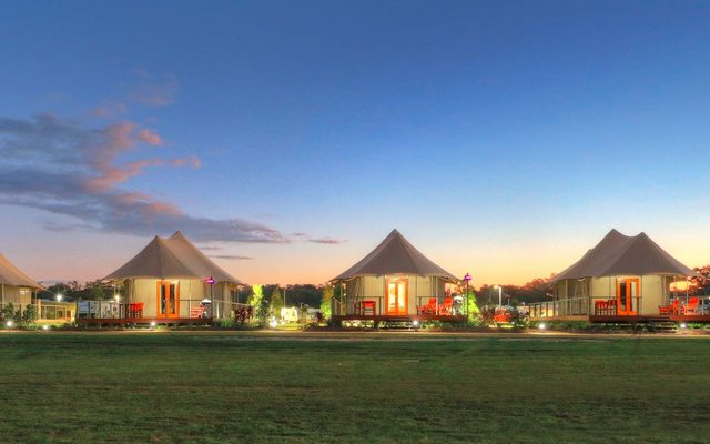 Grass, Plant, Architecture