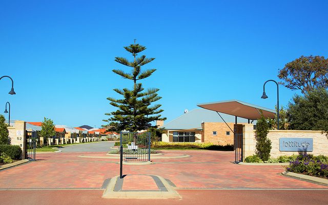 City, Plant, Tree