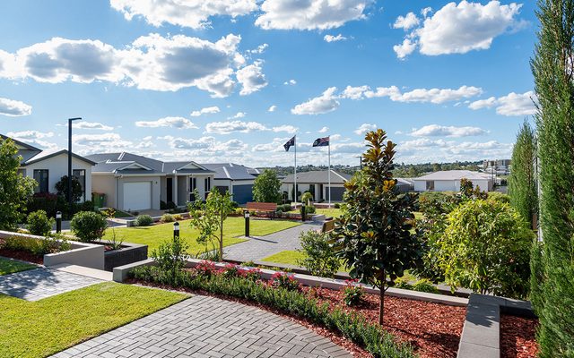 Suburb, Neighborhood, Grass