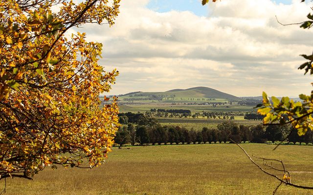 Field, Grassland, Nature