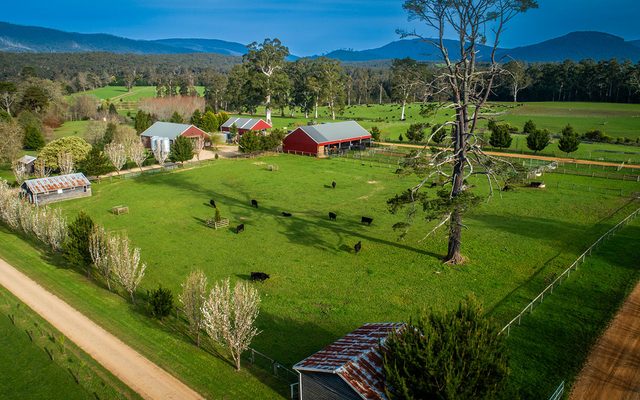 Outdoors, Nature, Countryside