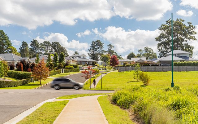 Grass, Plant, Suburb
