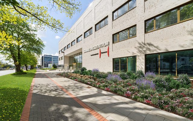 Grass, Plant, Architecture