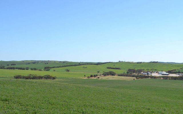 Countryside, Farm, Field