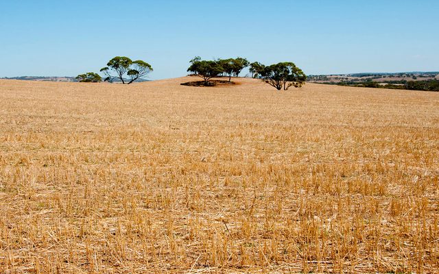 Ground, Field, Grassland