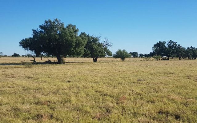 Ground, Countryside, Farm