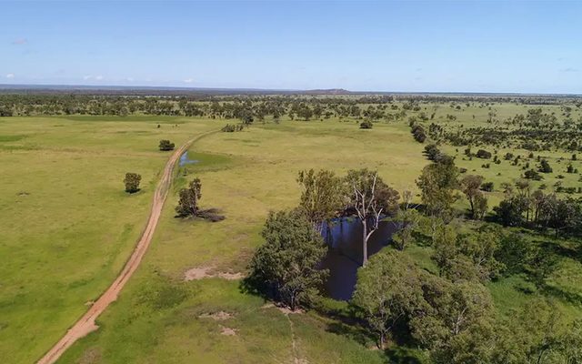 Outdoors, Plant, Vegetation