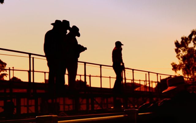 Photography, Person, Backlighting