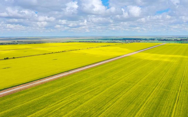 Outdoors, Nature, Horizon