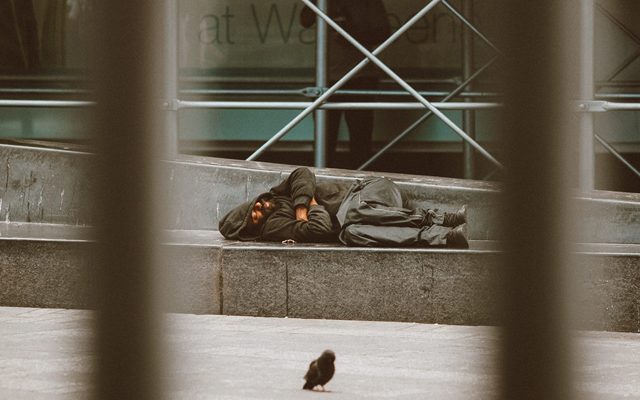 Person, Animal, Bird