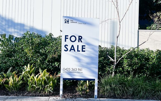 Advertisement, Plant, Vegetation