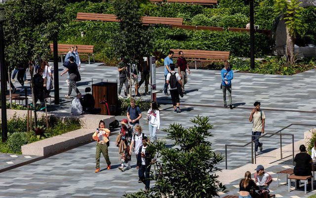 Person, Walking, Grass