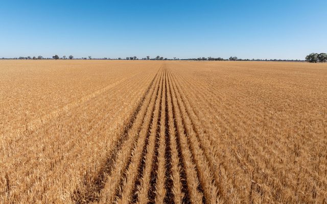 Ground, Horizon, Nature