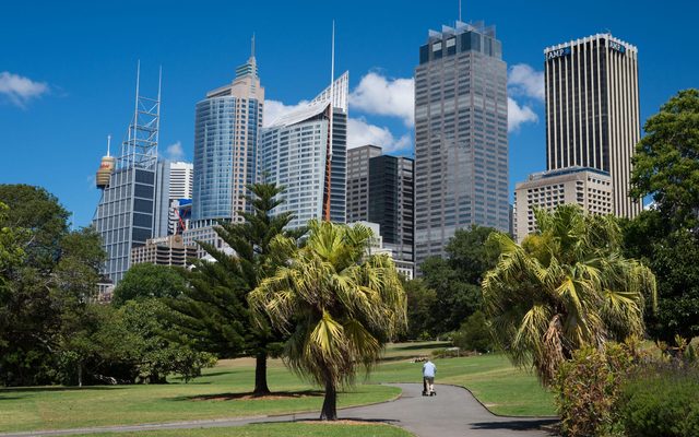 City, Grass, Plant