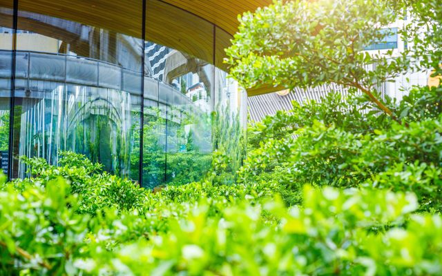 Garden, Nature, Outdoors