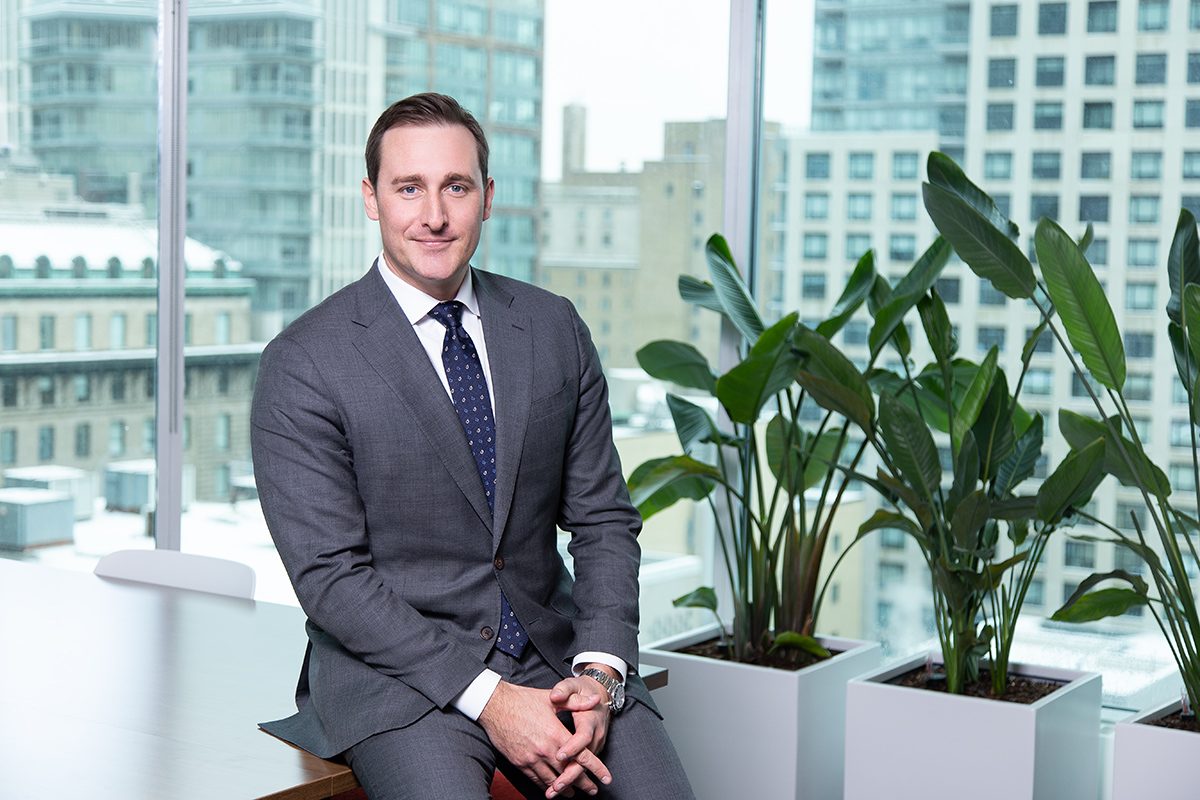 Plant, Potted Plant, Executive