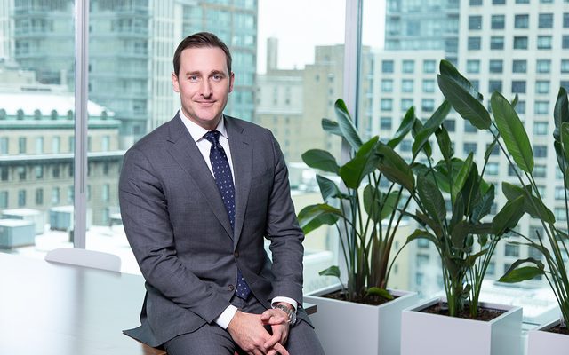 Plant, Potted Plant, Executive