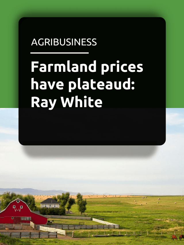 Farmland prices have plateaud: Ray White