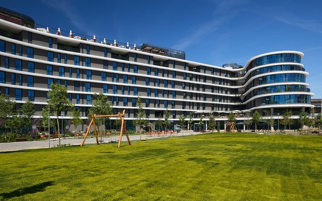 Grass, Plant, Architecture