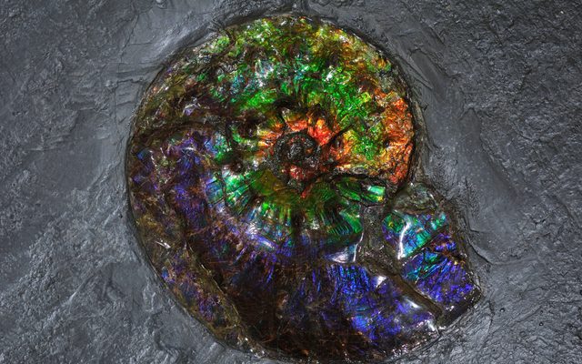 Accessories, Gemstone, Jewelry