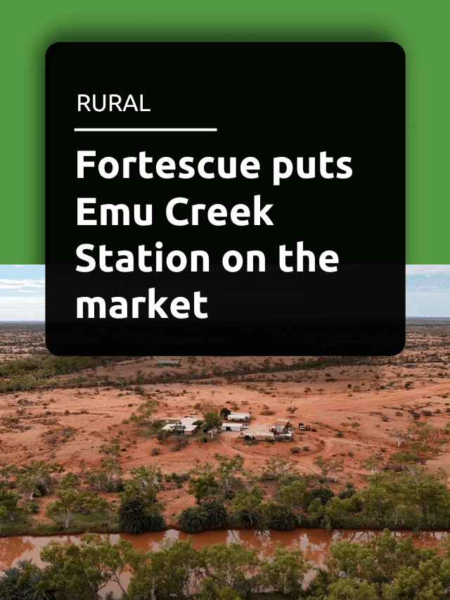 Fortescue puts Emu Creek Station on the market
