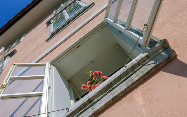 Window, Flower, Flower Arrangement